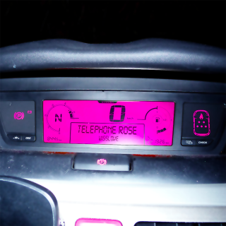 L'anorexie mentale (pt. 2)