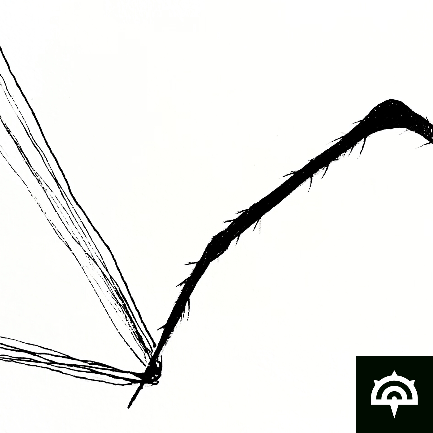 Toiles et Araignées